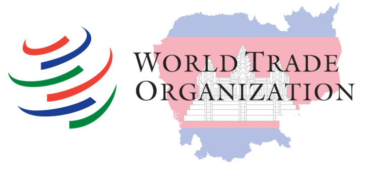 Opinion: Is the WTO Growing Irrelevant or Adapting to a Fragmented Global Economy?