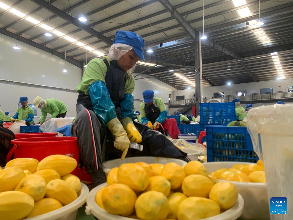 Opinion: Barriers to Growth in Cambodia’s Food Processing and Manufacturing Sector